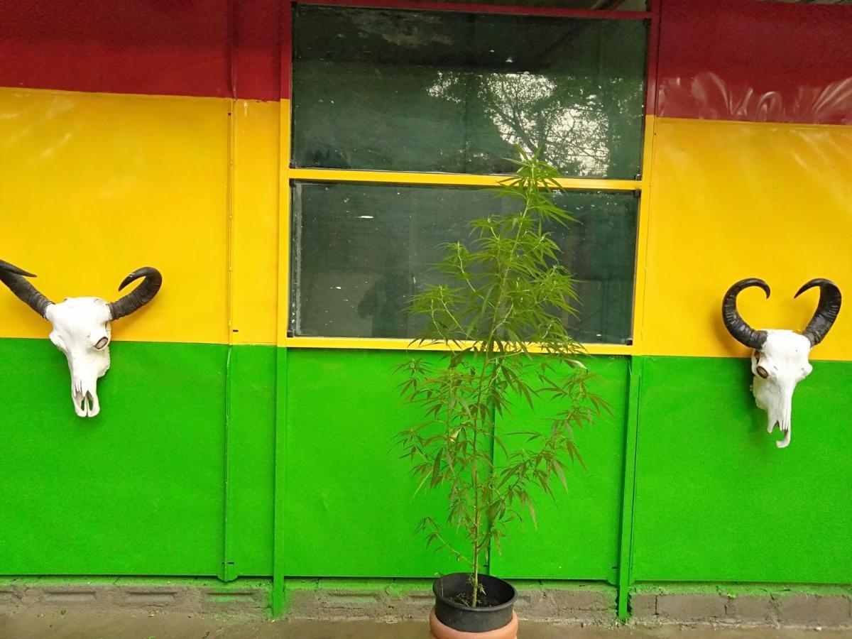Selahn Inn Katunayaka Bagian luar foto